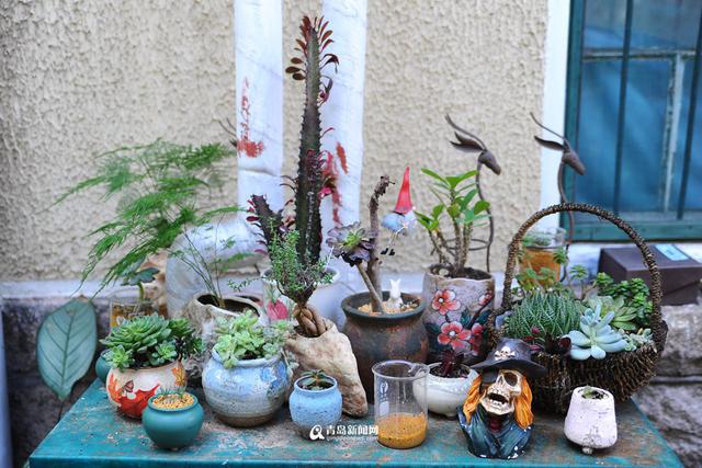高清：藏在青岛老城区的文艺小院 你去过几个
