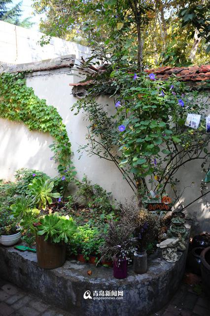 高清：藏在青岛老城区的文艺小院 你去过几个