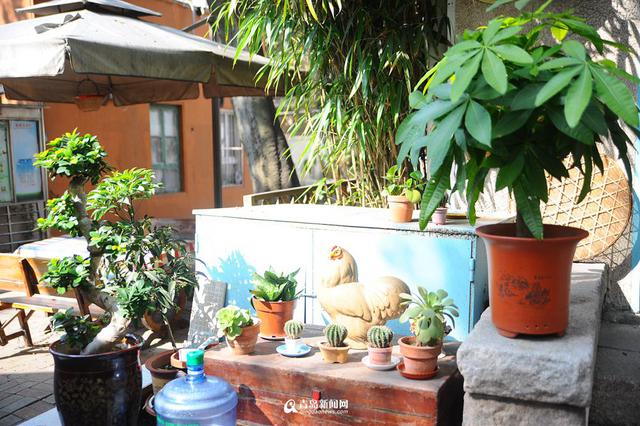 高清：藏在青岛老城区的文艺小院 你去过几个