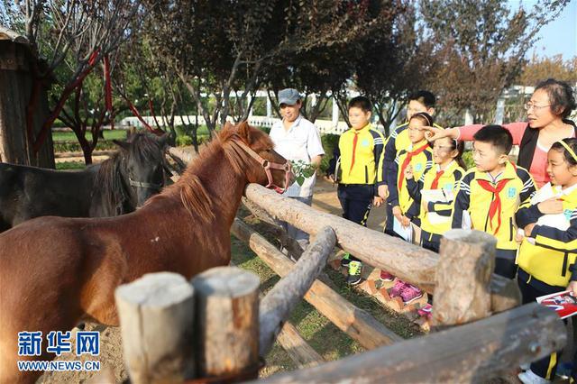 青岛一学校将动物园搬进校园 引进30余种动物
