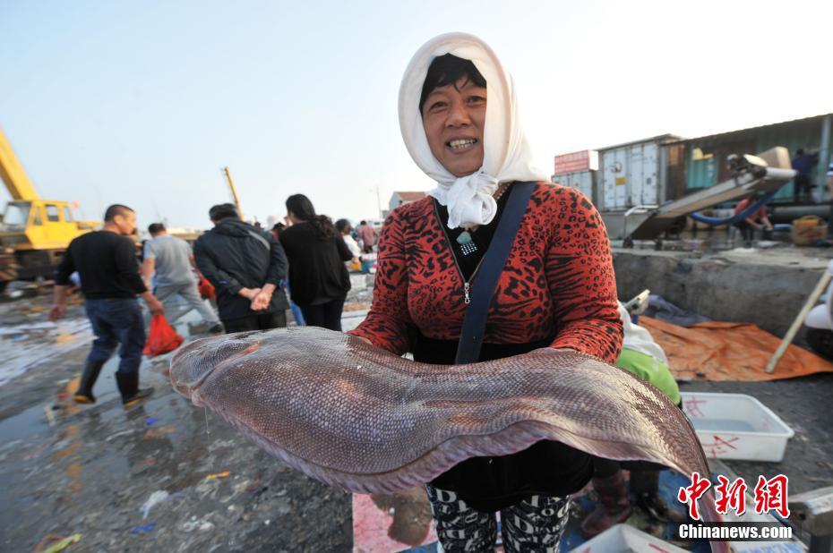 青岛渔村廉价海鲜抢手 近一米长舌头鱼卖150元