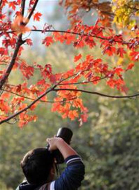 青岛6条最美公交线盘点 看海游崂山赏遍美景 青岛6条最美公交线盘点 看海游崂山赏遍美景