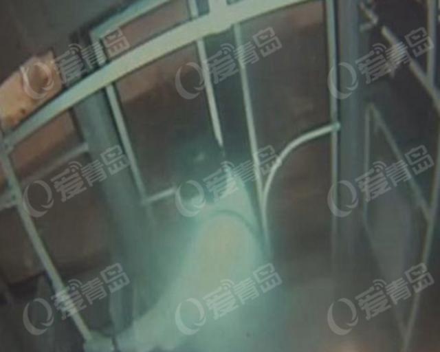 乘客执意中途下车 被拒后辱骂公交司机