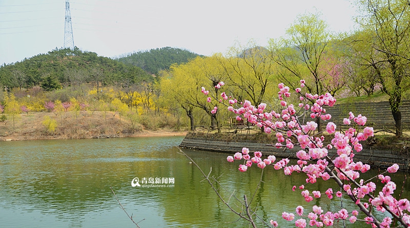 环湾大道新建两座天桥 湾头中学建设明年启动