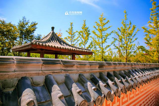 高清:走进十月世博园 色彩斑斓尽显金秋美景 高清:走进十月世博园 色彩斑斓尽显金秋美景