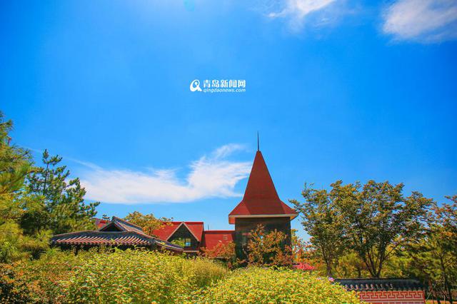 高清:走进十月世博园 色彩斑斓尽显金秋美景 高清:走进十月世博园 色彩斑斓尽显金秋美景