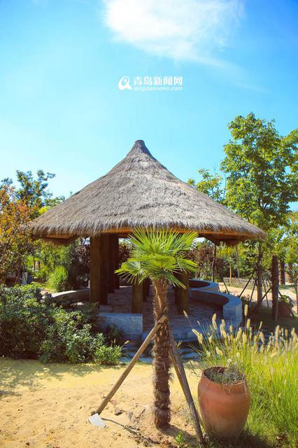 高清:走进十月世博园 色彩斑斓尽显金秋美景 高清:走进十月世博园 色彩斑斓尽显金秋美景