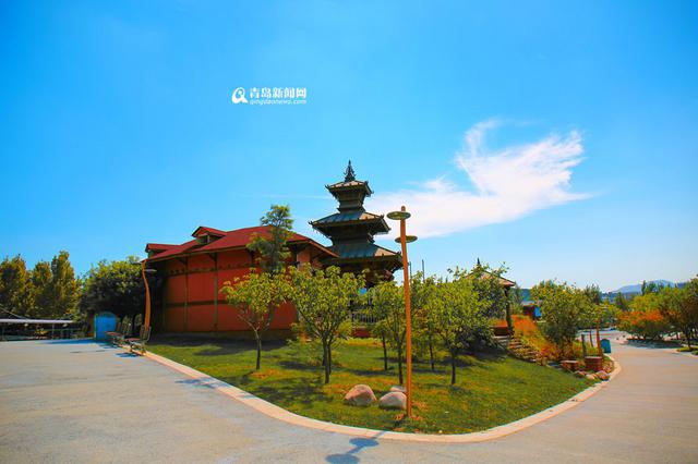 高清:走进十月世博园 色彩斑斓尽显金秋美景 高清:走进十月世博园 色彩斑斓尽显金秋美景