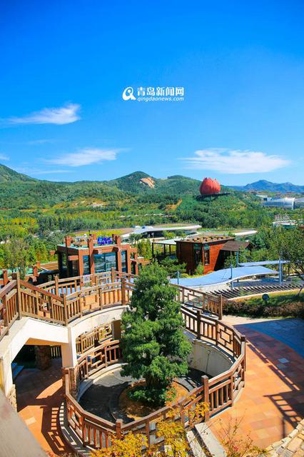 高清:走进十月世博园 色彩斑斓尽显金秋美景 高清:走进十月世博园 色彩斑斓尽显金秋美景