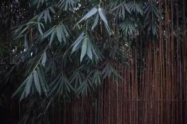 90后姑娘隐居深山 花6万建300平米大别墅(图)