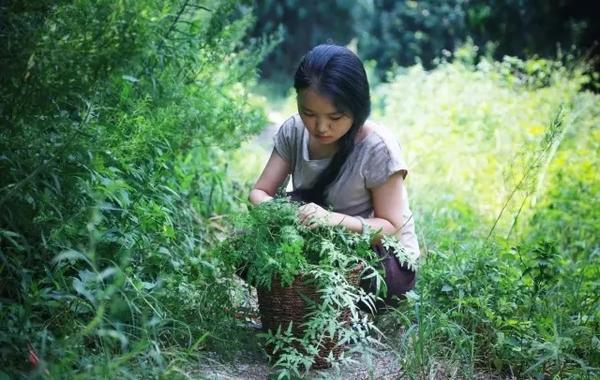 90后姑娘隐居深山 花6万建300平米大别墅(图)