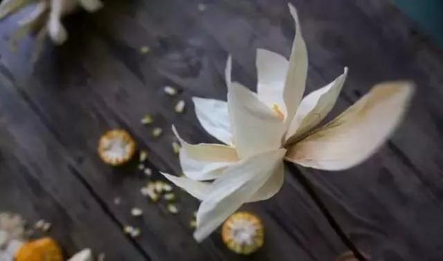 90后姑娘隐居深山 花6万建300平米大别墅(图)