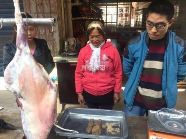 绵阳母羊胃里取出6颗“羊宝” 网传价值600多万（图）