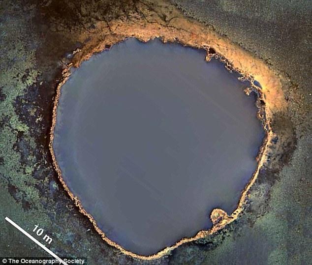 墨西哥湾海底“死亡之池”：生物进入必死无疑
