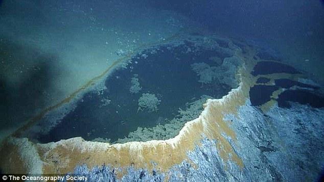 墨西哥湾海底“死亡之池”：生物进入必死无疑
