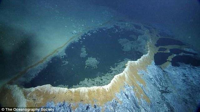 墨西哥湾海底“死亡之池”：生物进入必死无疑