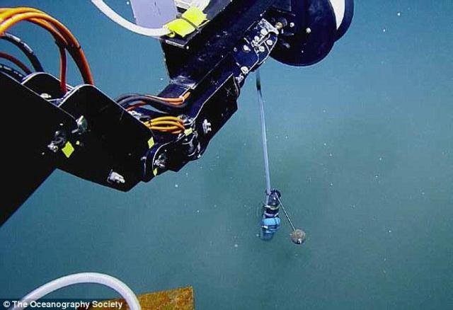 墨西哥湾海底“死亡之池”：生物进入必死无疑