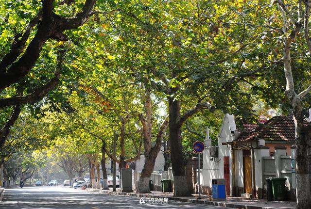 高清：秋日老城之美 这些味道老街值得你流连