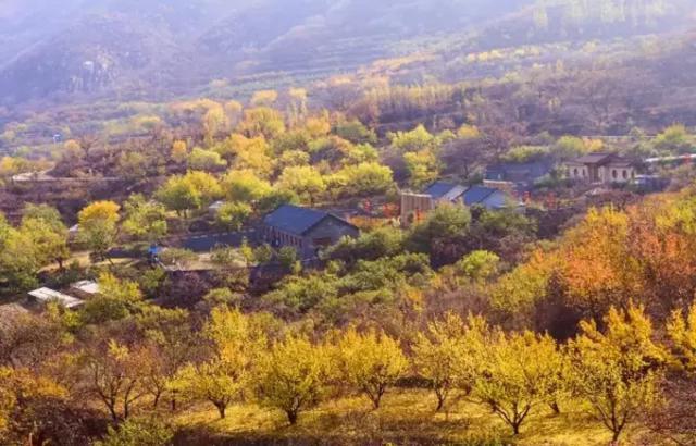 隐藏在青岛的世外桃源：秋天的九上沟色彩斑斓醉游人