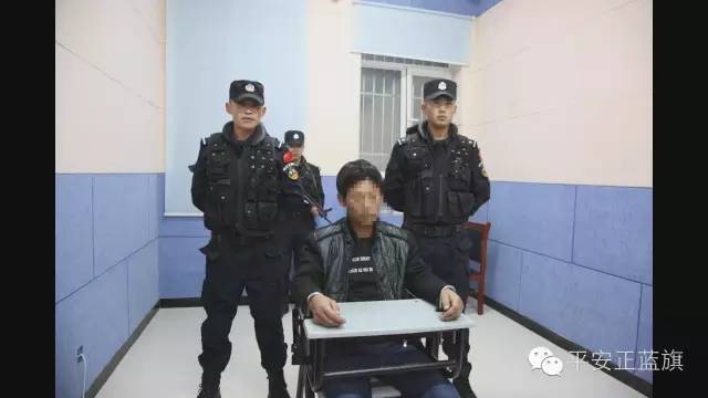 两百多只小天鹅等候鸟被毒杀案告破 7名嫌犯被控制