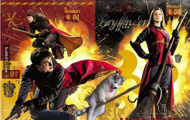 爬上椰子树后开始傻笑的哈士奇引发修图大战