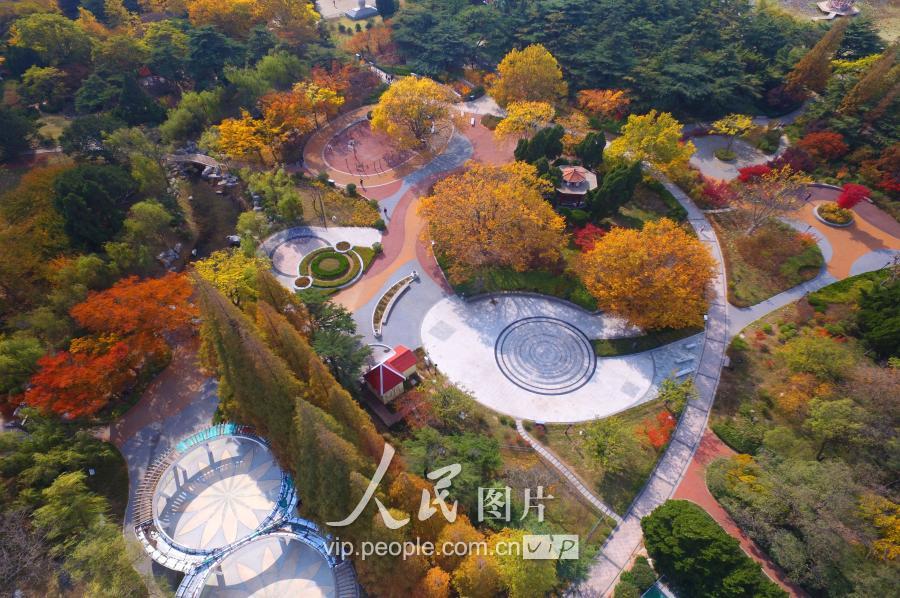 青岛中山公园鸟瞰图图片