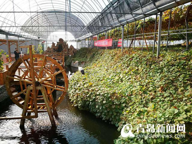 约起来! 青岛不止有山海 小编带您逛近郊 约起来! 青岛不止有山海 小编带您逛近郊