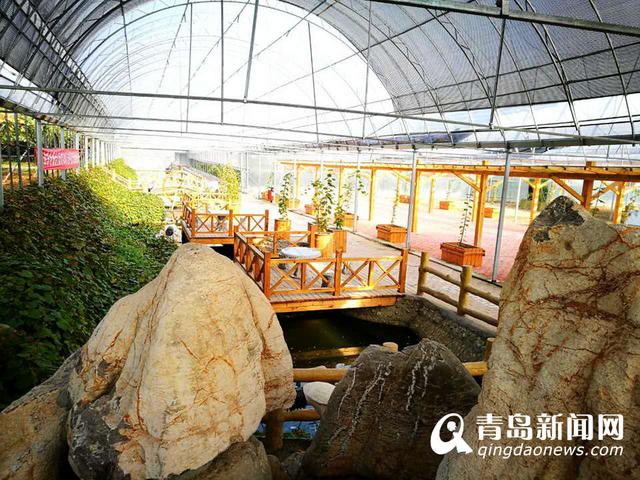 约起来! 青岛不止有山海 小编带您逛近郊 约起来! 青岛不止有山海 小编带您逛近郊