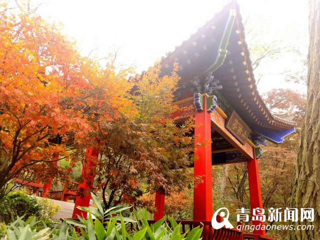 约起来! 青岛不止有山海 小编带您逛近郊 约起来! 青岛不止有山海 小编带您逛近郊