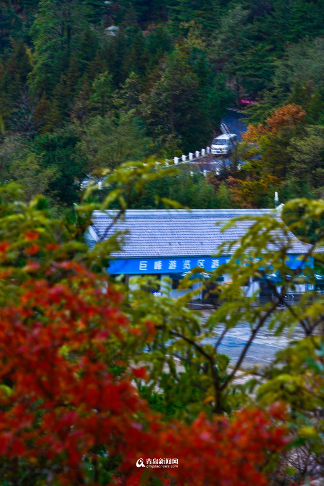 崂山之巅打翻调色板 雨后巨峰极致妖娆