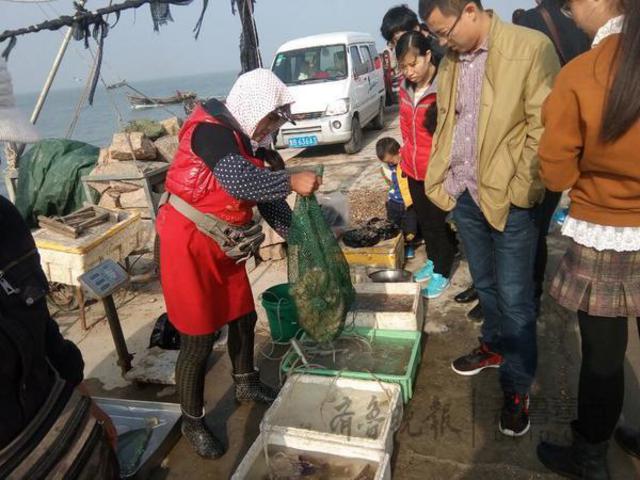 天冷了鱼少了渔船懒出海，海鲜价格猛涨上岸仍遭疯抢