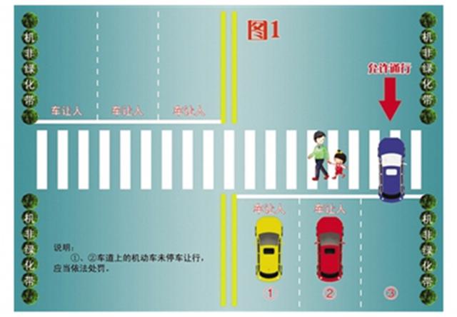 你知道如何礼让斑马线吗 看看这些就懂了