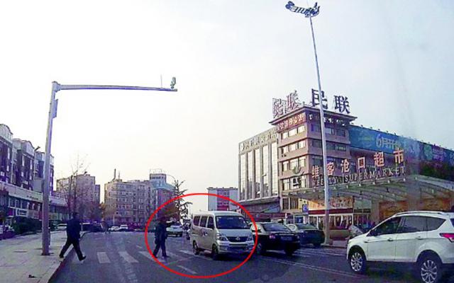 你知道如何礼让斑马线吗 看看这些就懂了