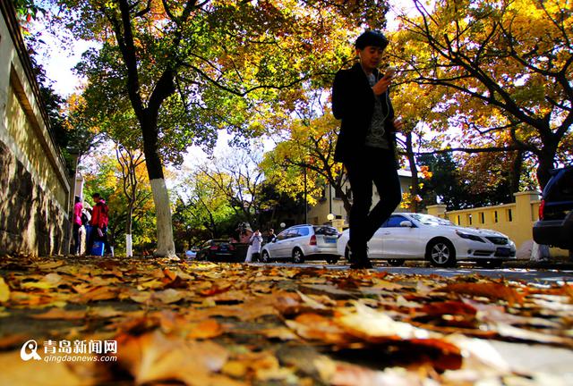 高清:上帝打翻了调色盘 青岛老城区赏秋正当时