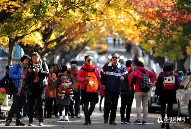 高清:上帝打翻了调色盘 青岛老城区赏秋正当时