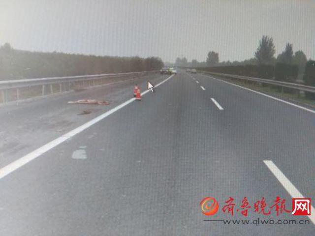 16岁少女雨夜被撞倒后遭拖行7公里至高速(图)