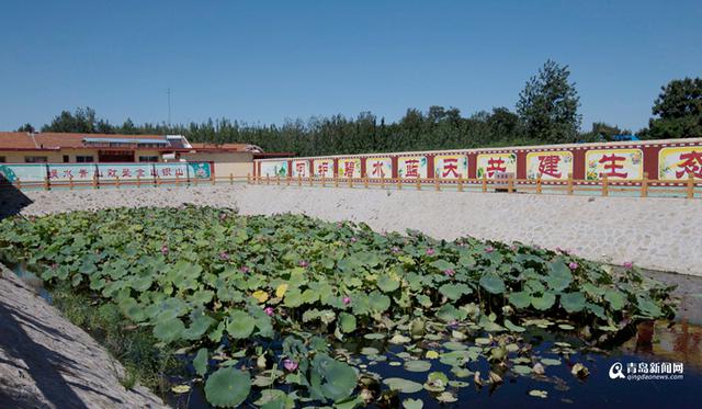 新机场旁崛起生态智慧小城 李哥庄建航空社区