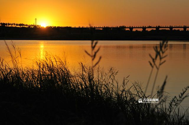 新机场旁崛起生态智慧小城 李哥庄建航空社区