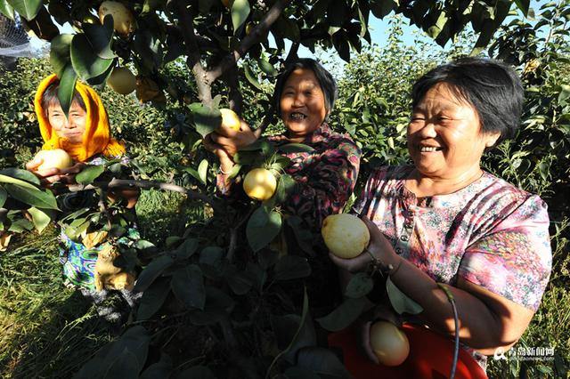新机场旁崛起生态智慧小城 李哥庄建航空社区
