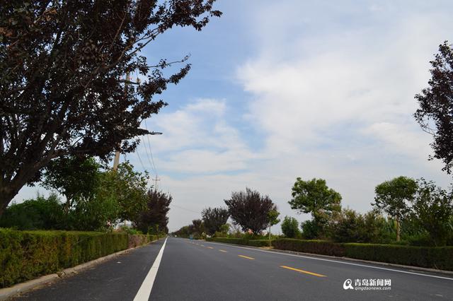 新机场旁崛起生态智慧小城 李哥庄建航空社区