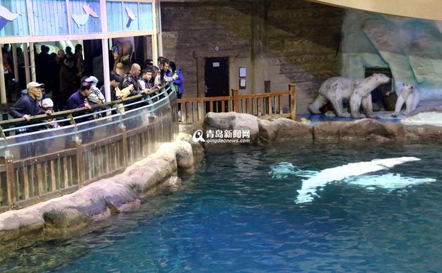 旅游惠民月爱心很给力 地铁工人免费游极地