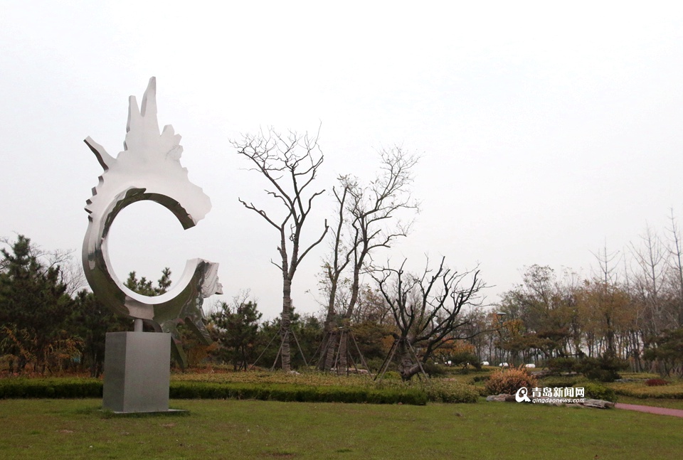 实拍高新区初冬美景 昔日盐碱地变身景观新城