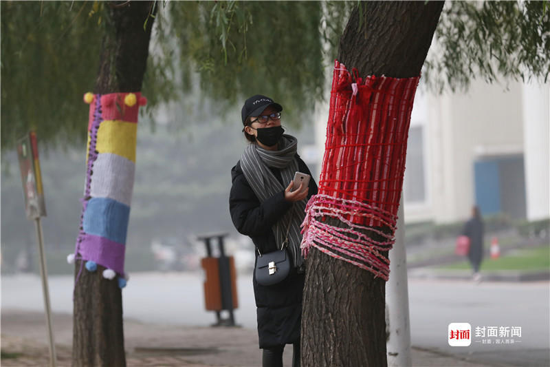 女大学生为树木手织新毛衣 网友直呼“虐狗”