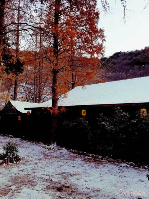 平度大泽山雪还在下！禅寺披上素净银装