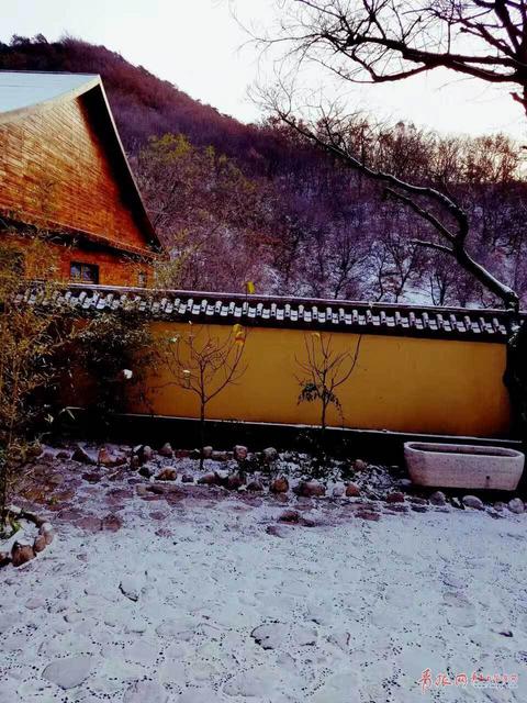 平度大泽山雪还在下！禅寺披上素净银装
