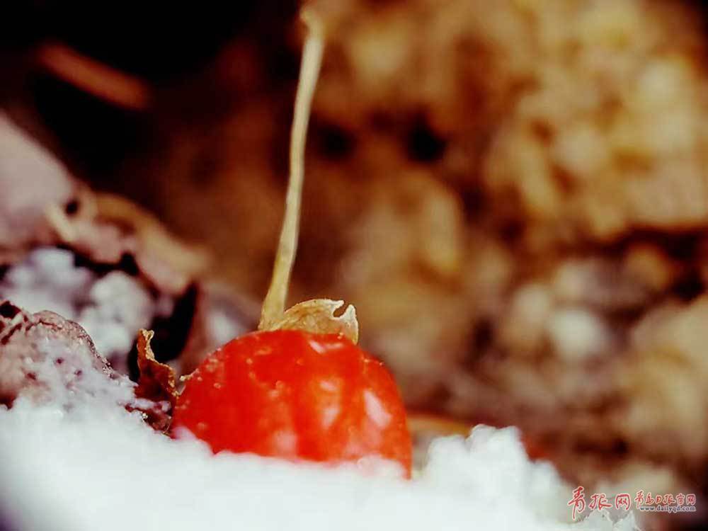 平度大泽山雪还在下！禅寺披上素净银装