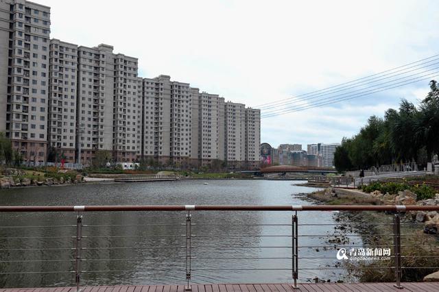 高清:探访李村大集旧址 脏乱河底要变景观带