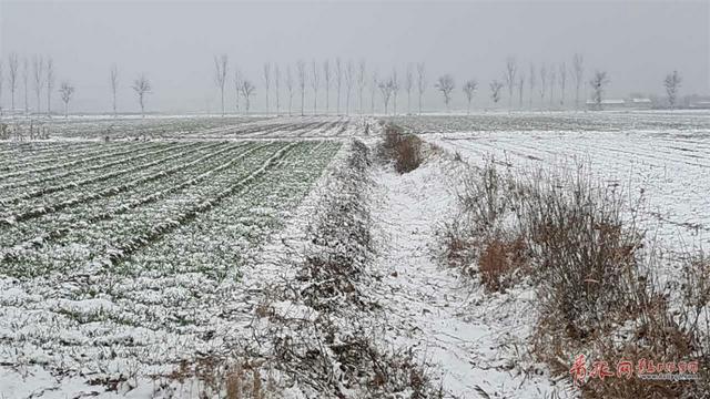 平度迎来降雪 苍茫大地银装素裹分外妖娆