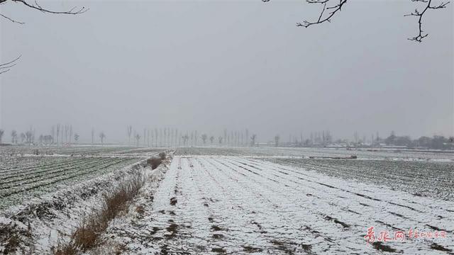 平度迎来降雪 苍茫大地银装素裹分外妖娆