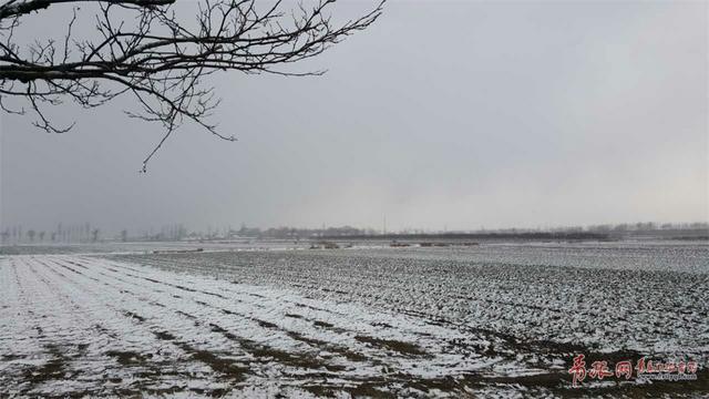 平度迎来降雪 苍茫大地银装素裹分外妖娆